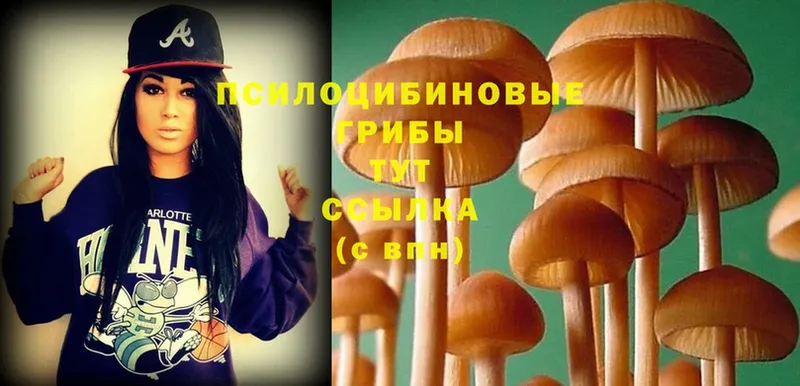 Псилоцибиновые грибы Magic Shrooms  где можно купить   Иннополис 